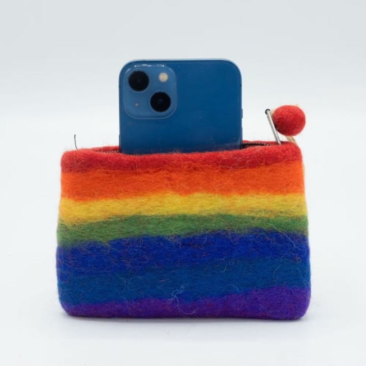 Natural Felt Zipper Pouch (asst) - Rainbow
