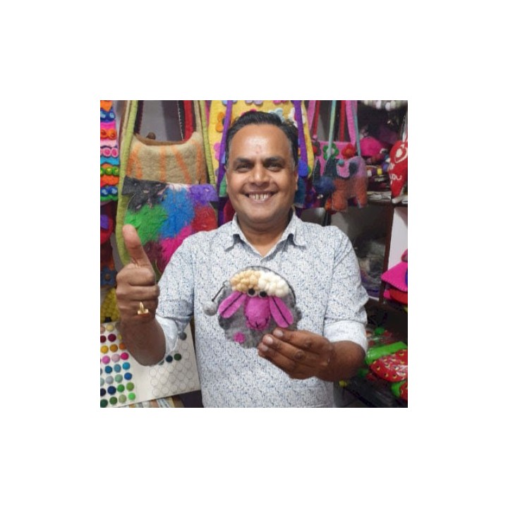 Natural Felt Zipper Pouch (asst) - Mystic Mushrooms