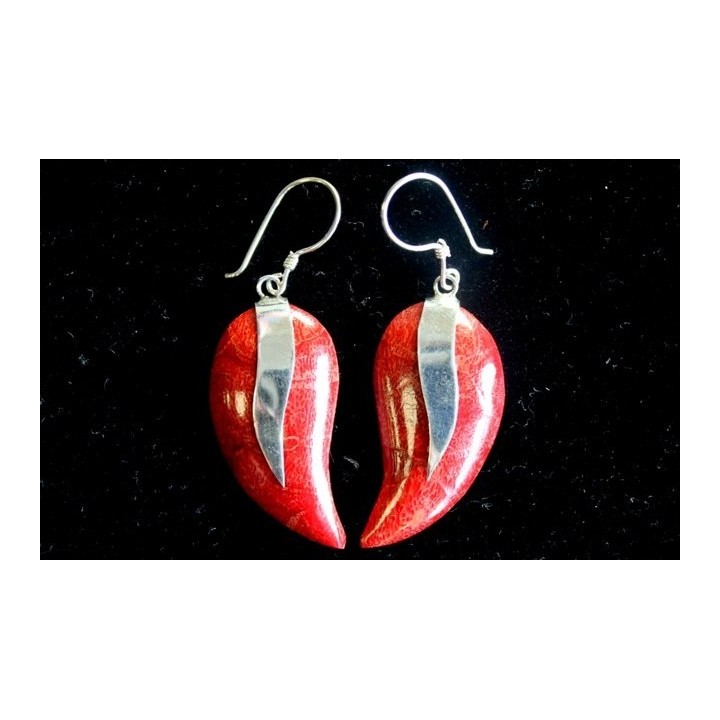 925 Silver Earrings - Mangos