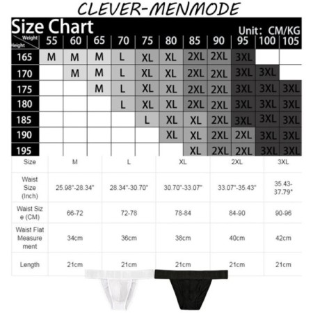Men's Sexy Mini Sheer Ice Silk Underwear Suspender Transparent Thong B Men's Sexy Mini Sheer Ice Silk Underwear Suspender Transparent Thong B