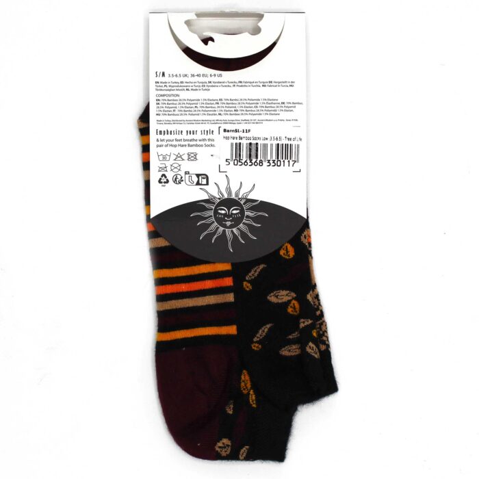 bamsl-11m_03-20250923-214107.jpeg