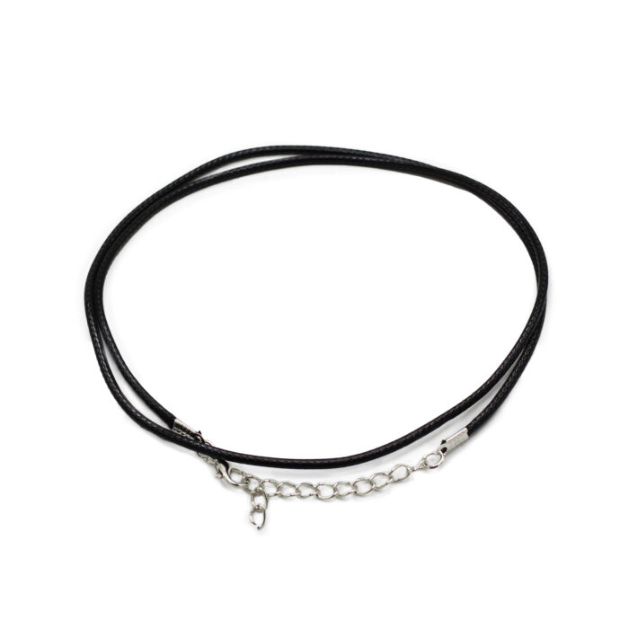 pcord-31_01.jpeg